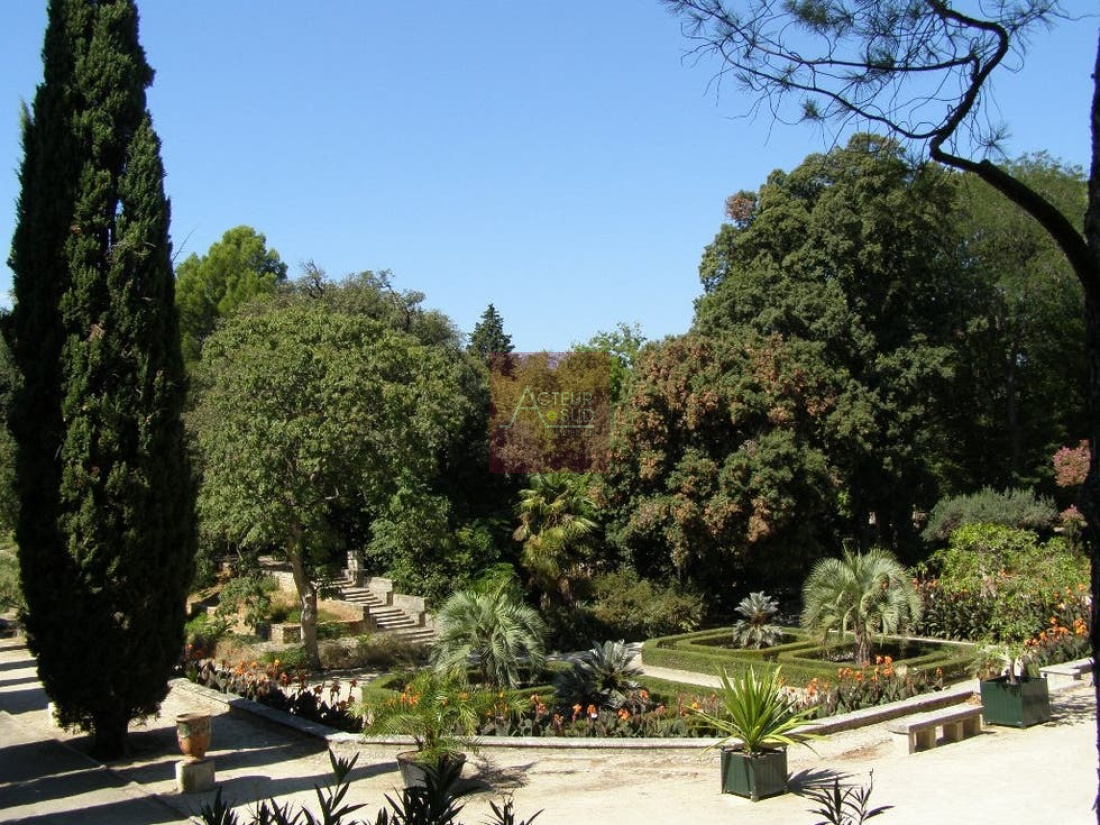 JARDINS DES PLANTES 2