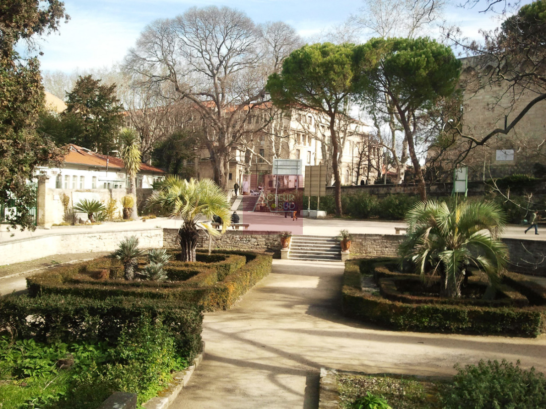 JARDIN DES PLANTES 3