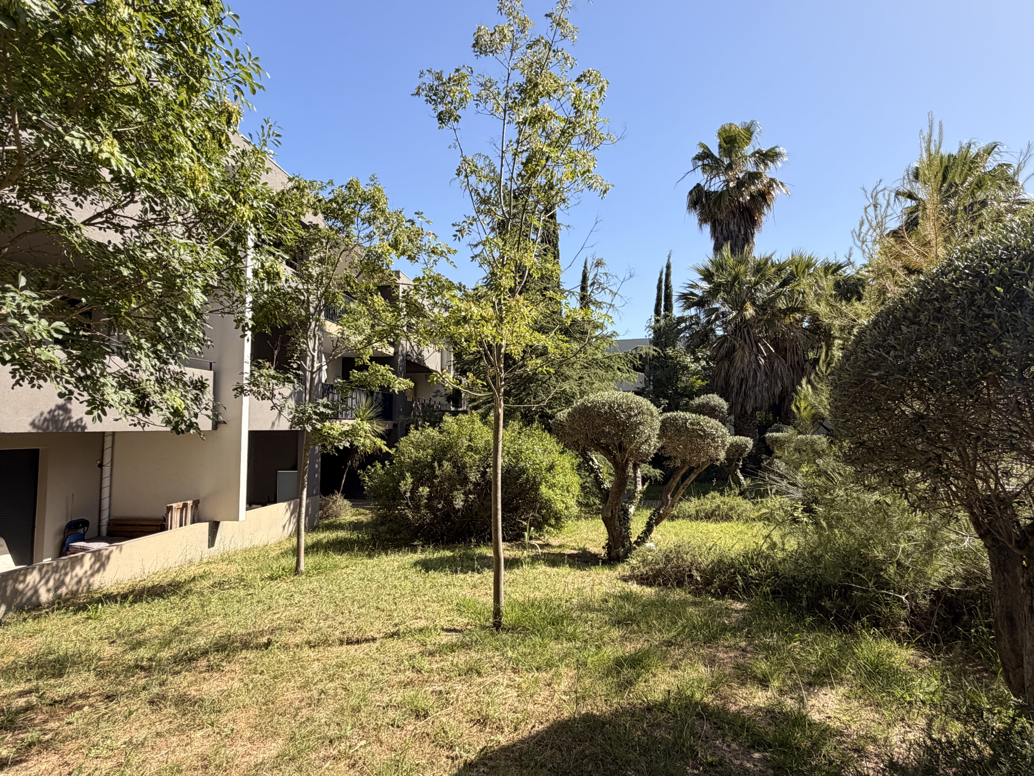 VENTE APPARTEMENT 2 PIECES MONTPELLIER CENTRE